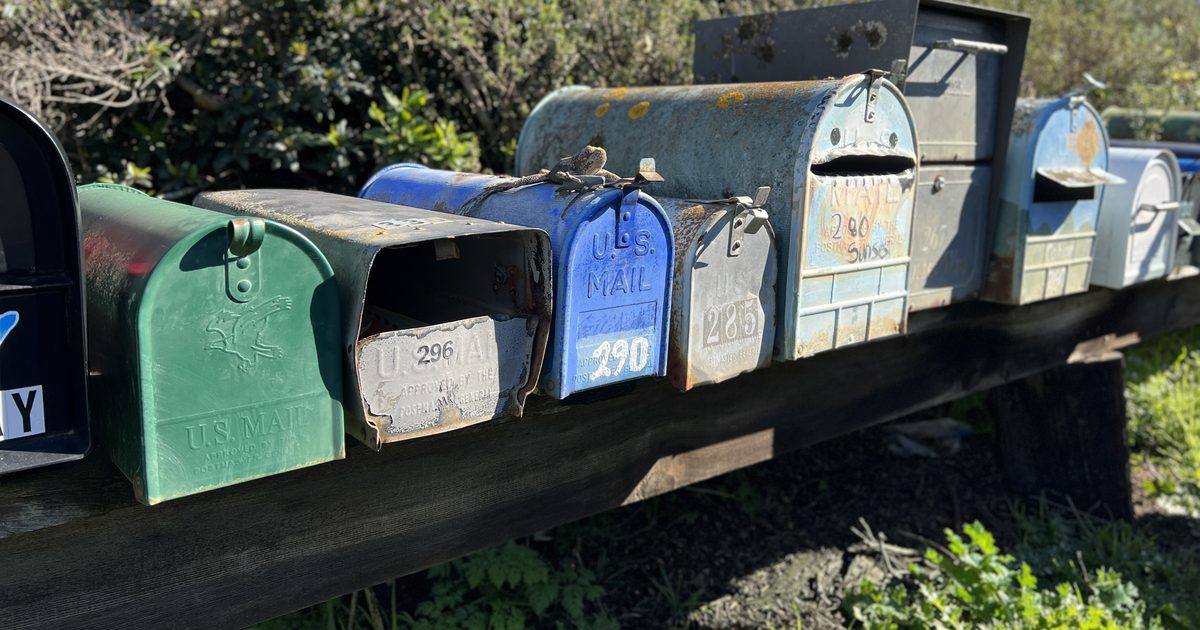 A row of weathered metal mailboxes in green, blue and silver standing on a long wooden beam in the sunshine, with shrubs behind them